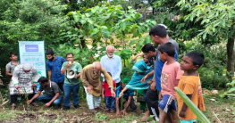 হবিগঞ্জে খোয়াই নদীর তীরে বৃক্ষ রোপণ