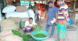 দুই কারণে কাঁচা মরিচের দাম ৪০০ ছুঁইছুঁই