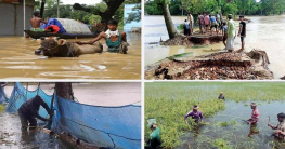 কুমিল্লায় বন্যায় ক্ষতি সাড়ে তিন হাজার কোটি টাকা